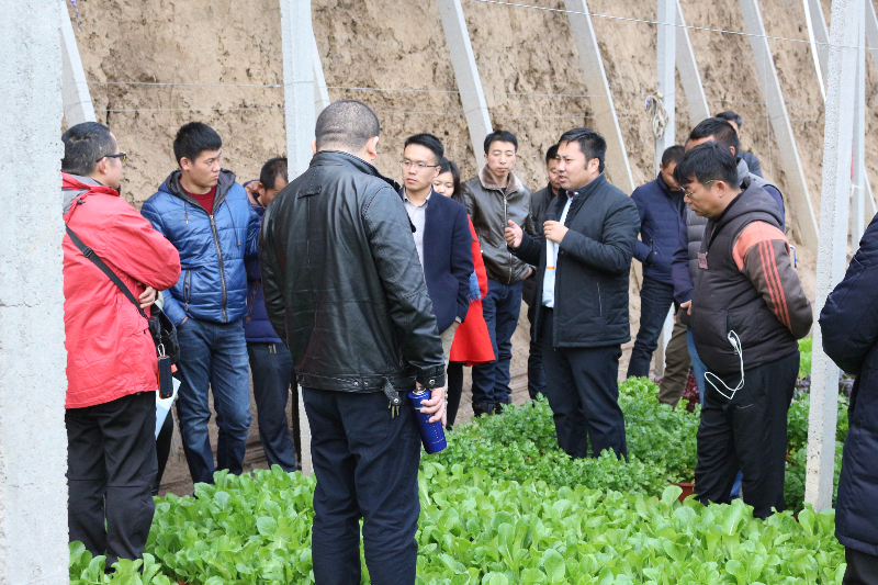 在盆栽蔬菜溫室，李軍老師給十二期學員講解盆栽蔬菜技術