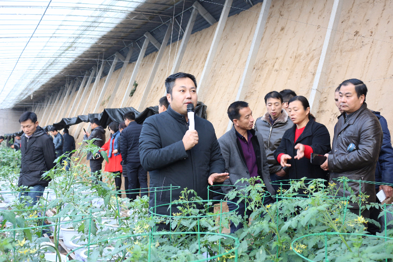 李軍老師給十二期學員講解茄果類盆栽蔬菜的技術